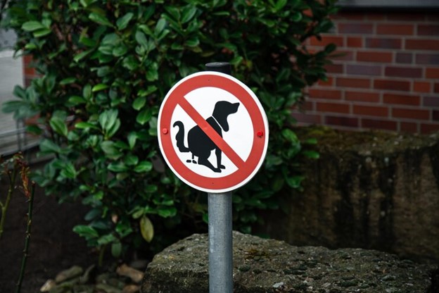 Rental property sign indicating pets not allowed
