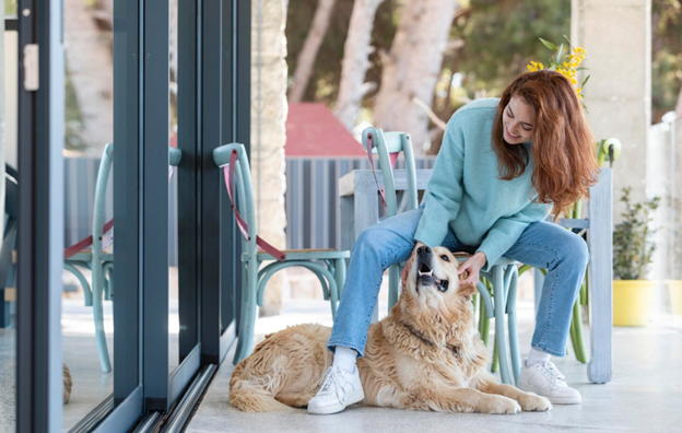 Locations acceptant les animaux domestiques